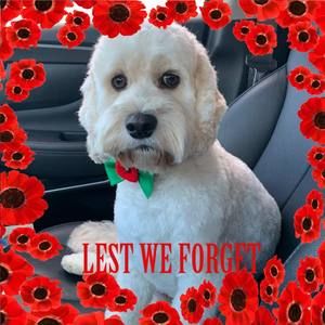 Meet your Posher, Kelly